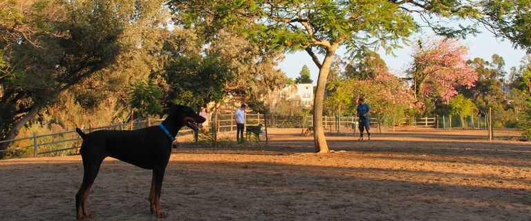 Balboa Park Dog Park