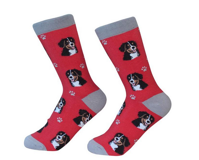 Bernese Mountain Dog Socks