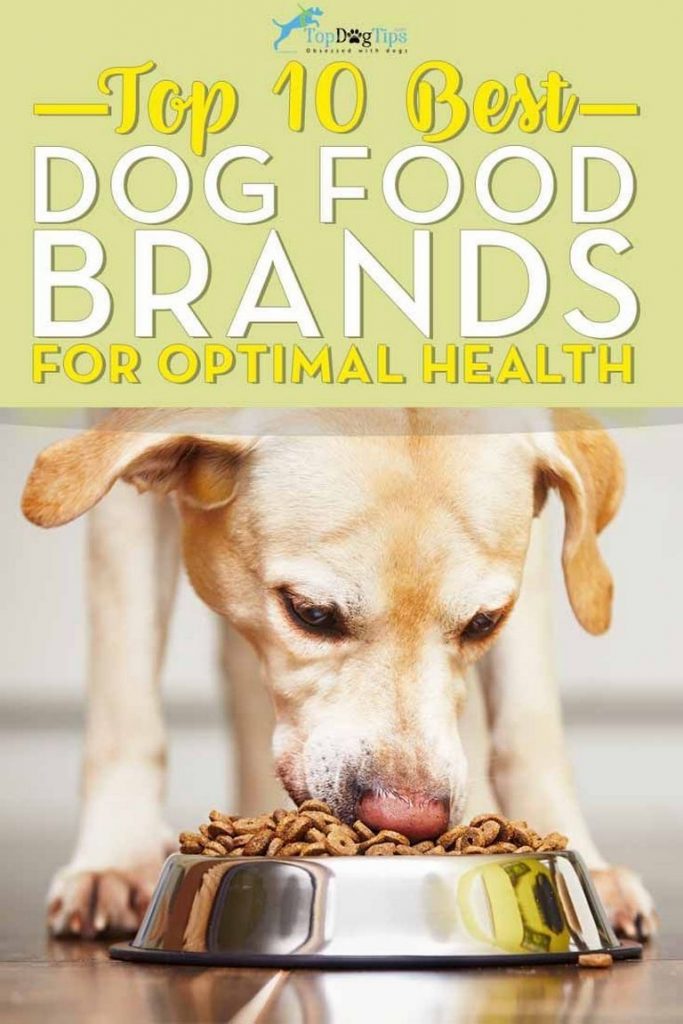 Best Dog Food Brands 2018