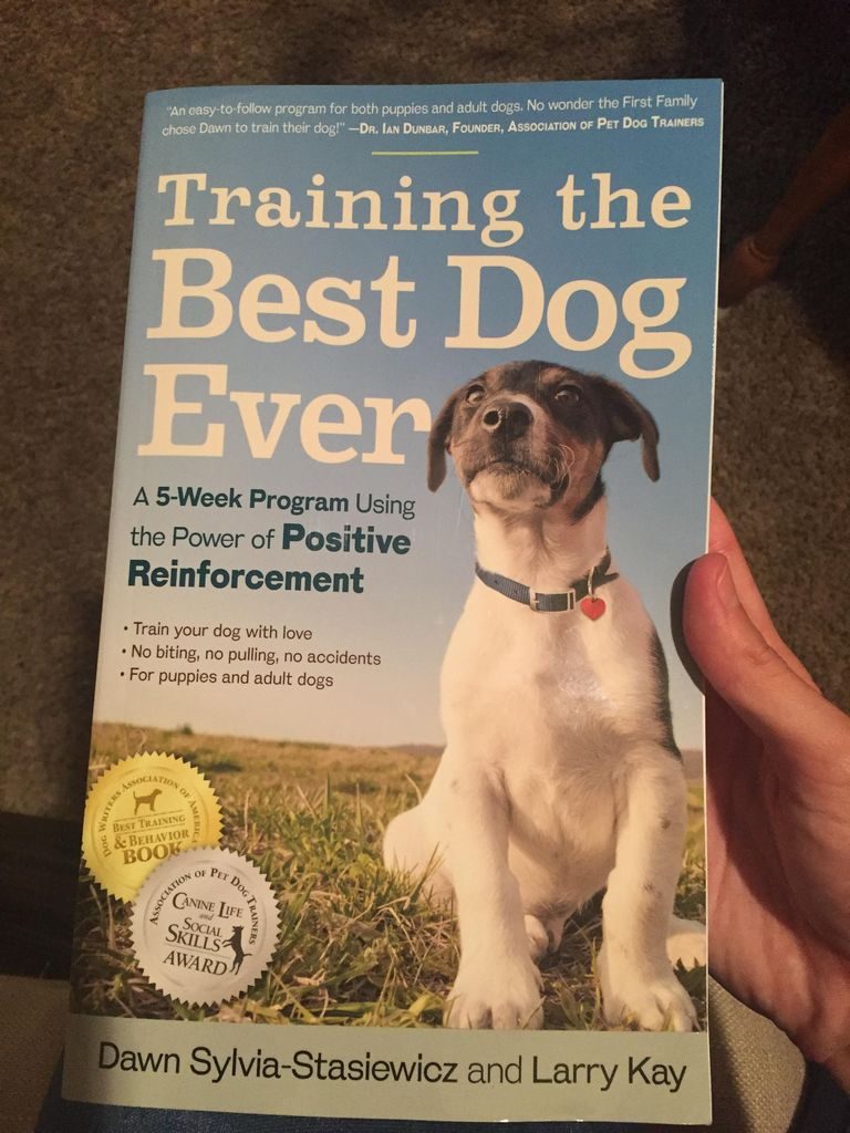 Best Dog Training Books Reddit