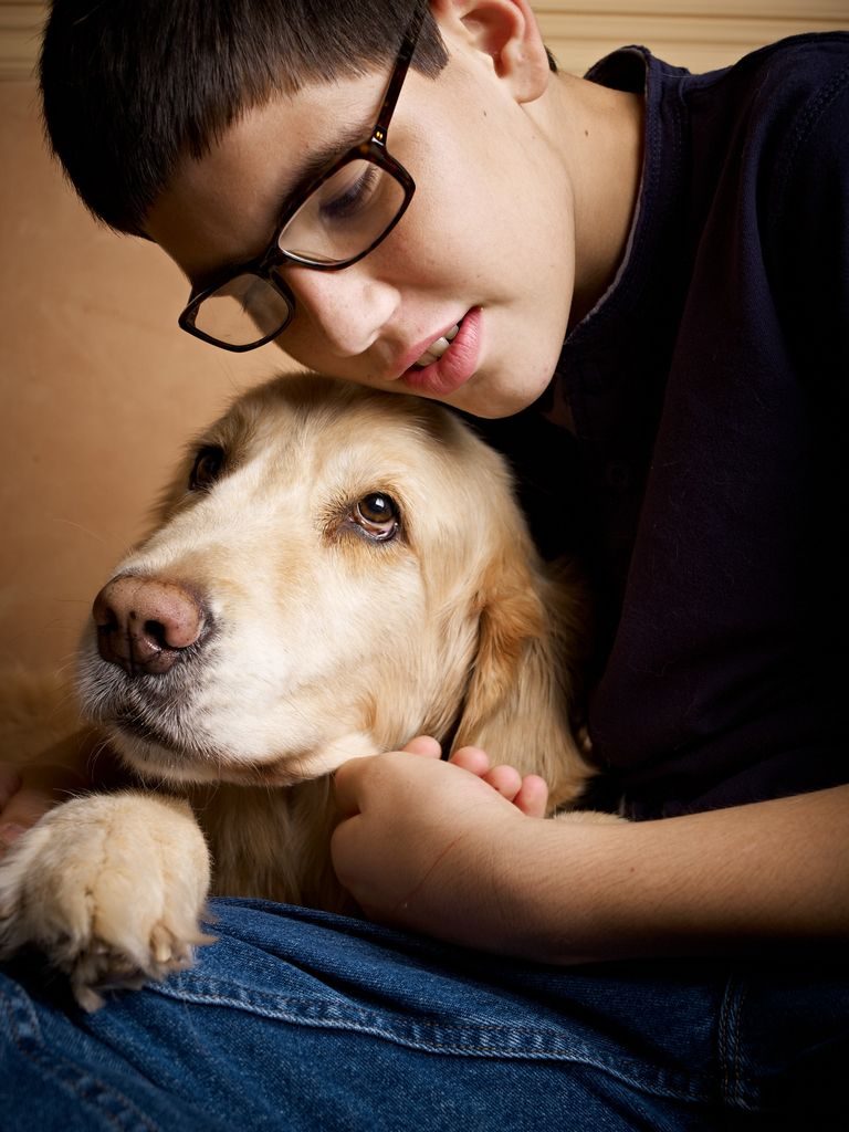 Best Therapy Dogs For Adhd