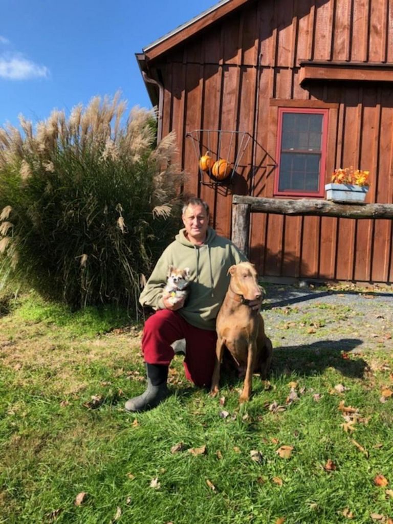 Charlottesville Dog Boarding Farm