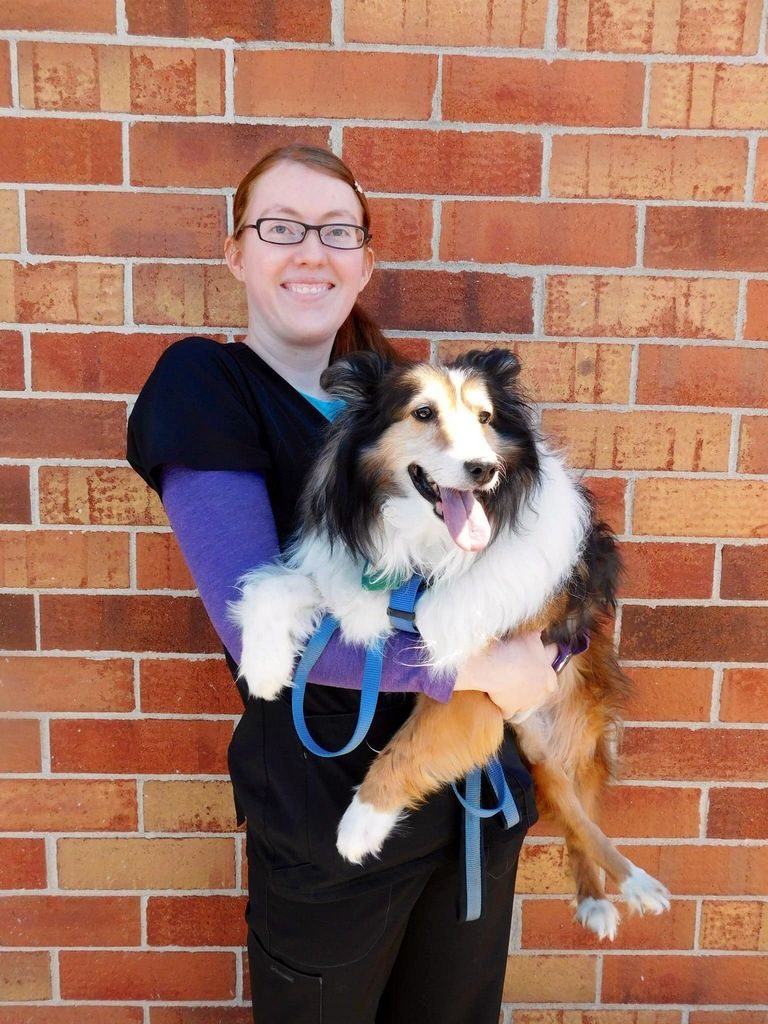 Cindy’s Pet Grooming Pueblo, Co