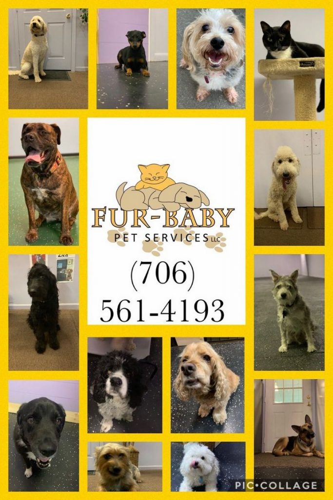 Fur Baby Pet Services Columbus Ga