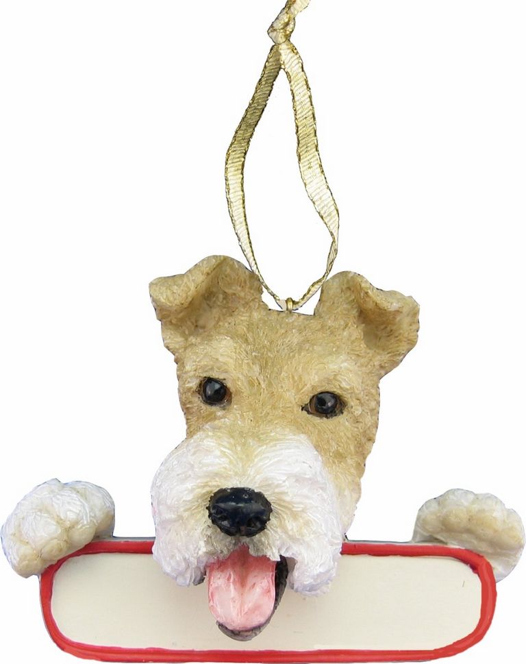 Wire Fox Terrier Looking For New Home